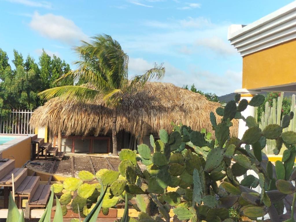Landhuis Belnem Bonaire Playa Exterior foto